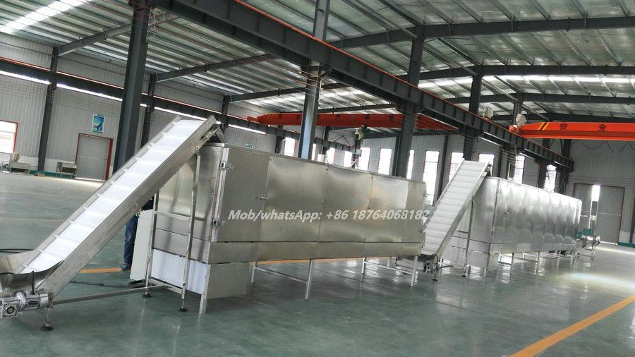 corn flakes dryer machine _副本