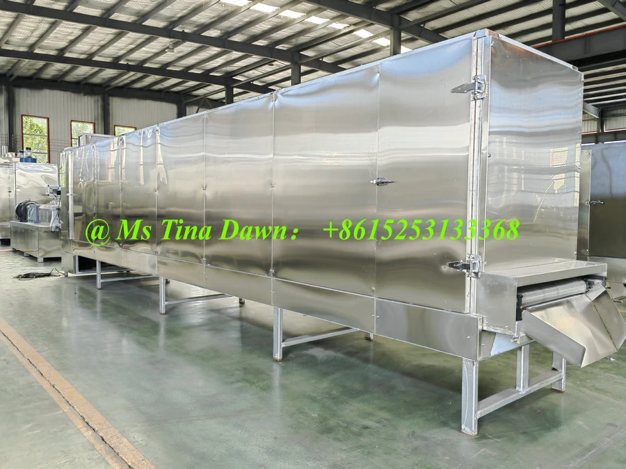 snack drying machine