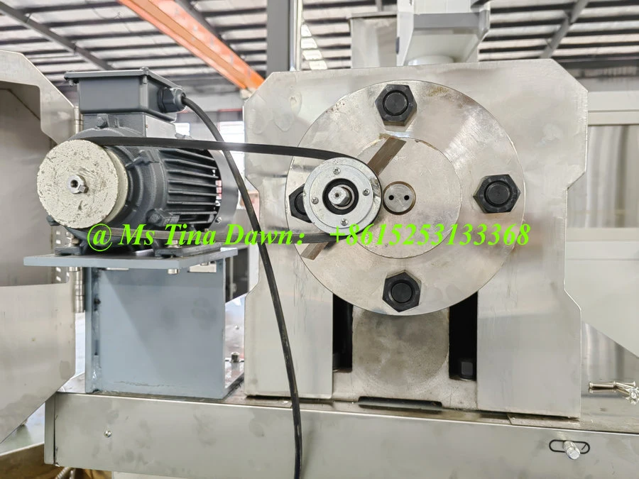 TWIN SCREW FOOD EXTRUDER