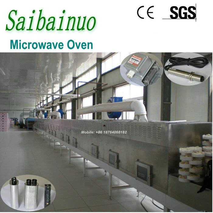 Microwave Spices Sterilizer Machine